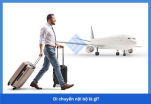Di chuyển nội bộ là gì