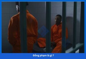 Đồng phạm là gì