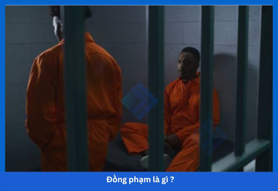 Đồng phạm là gì