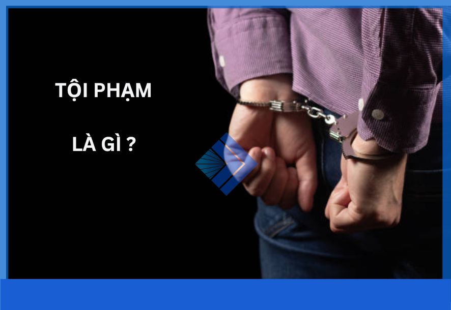 Tội phạm là gì